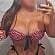 Alondra